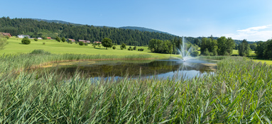 Golf Bregenzerwald BY MATTHIAS RHOMBERG 001