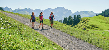 Wandern beim Stoggersattel in Au (c) Alex Kaiser - Bregenzerwald Tourismus Wandern beim Stoggersattel in Au (c) Alex Kaiser - Bregenzerwald Tourismus