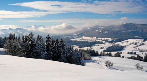Wellnesshotel Linde - Sulzberg im Winter