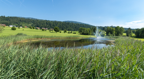 Golf Bregenzerwald BY MATTHIAS RHOMBERG 001