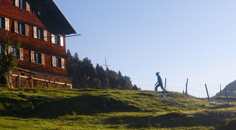 Bregenzerwaldhotels - Wandern