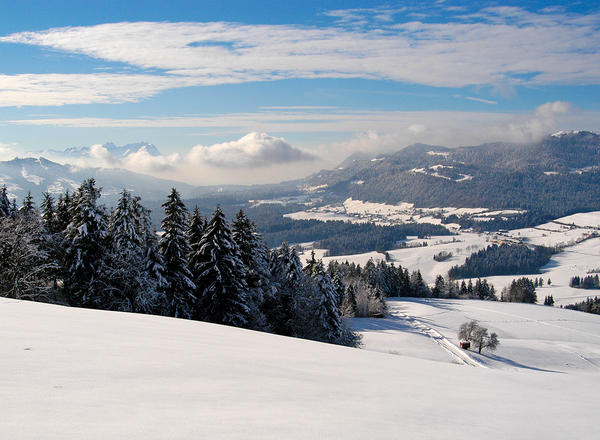 Wellnesshotel Linde - Sulzberg im Winter