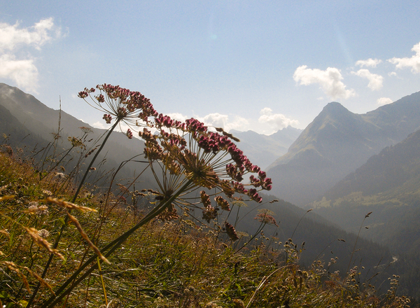Bregenzerwaldhotels - Herbstlandschaft