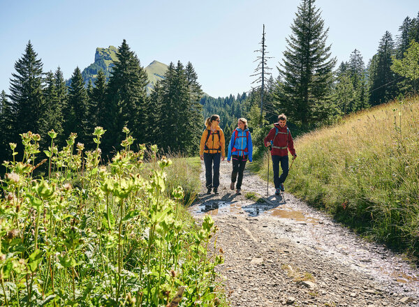 Wandern zwischen Bergstation Mellaubahn und Alpe Kanis (c) Alex Kaiser - Bregenzerwald Tourismus (1)